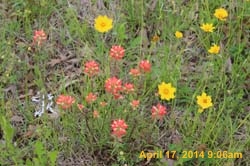 IMG_8903