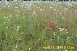 IMG_8912