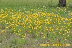 IMG_8913