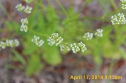 IMG_8916