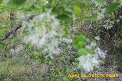 IMG_8968