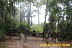 IMG_8988