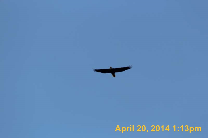 IMG_2700