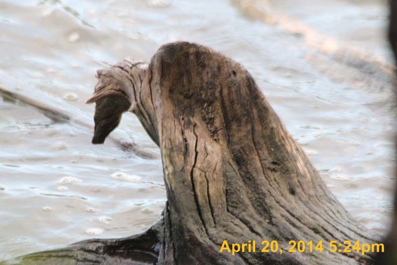 IMG_2759