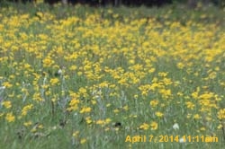 IMG_2653