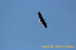 IMG_2703
