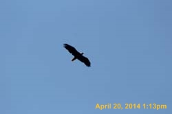 IMG_2705
