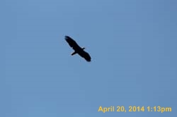 IMG_2706