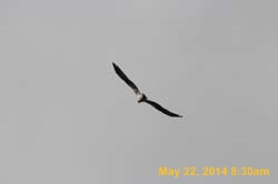 IMG_2834