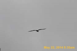 IMG_2835