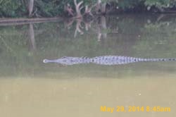 IMG_2843