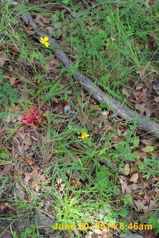 IMG_9405