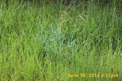 IMG_9282