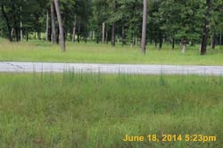 IMG_9310