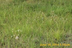 IMG_9336