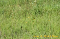 IMG_9337