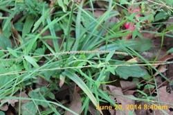 IMG_9392