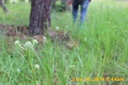 IMG_9401