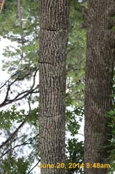 IMG_9410
