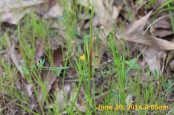 IMG_9445