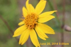 IMG_9455