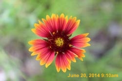 IMG_9457