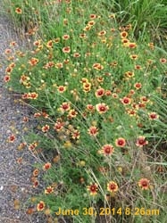 IMG_5853