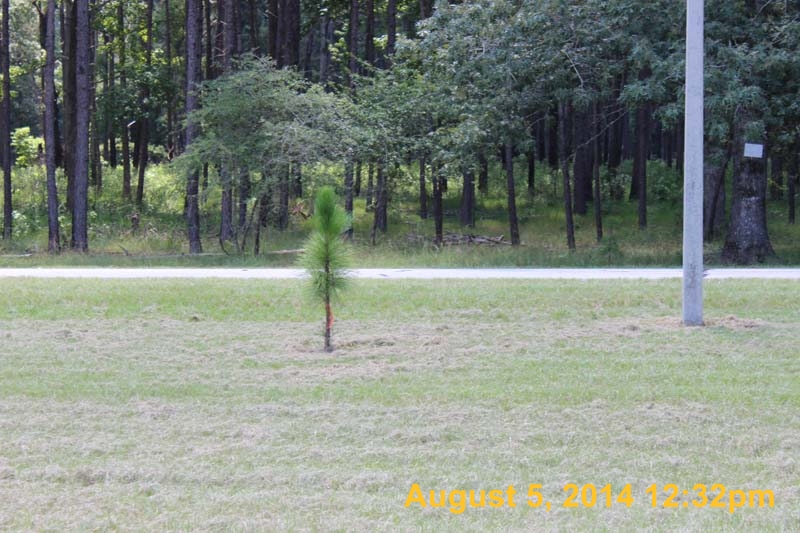 IMG_9835