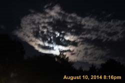 IMG_9856