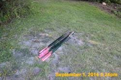 IMG_9909
