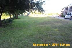 IMG_9910