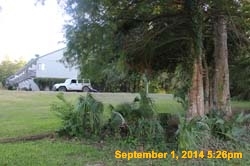IMG_9918