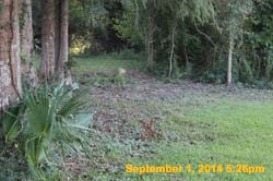 IMG_9920