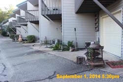 IMG_9937