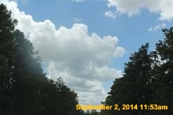IMG_9977