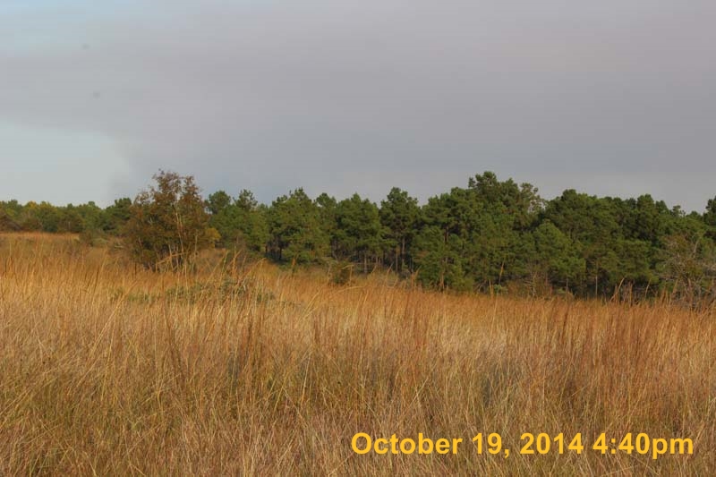 IMG_0123