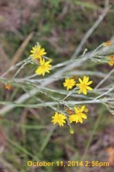 IMG_0029