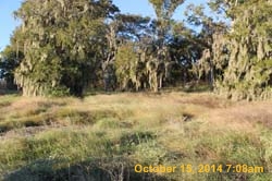 IMG_0064