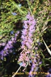 IMG_0082