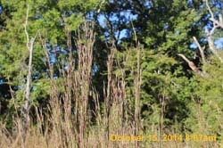 IMG_0090