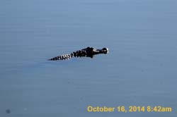 IMG_2966
