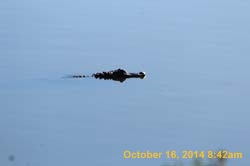 IMG_2967
