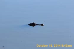 IMG_2968