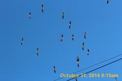 IMG_2980