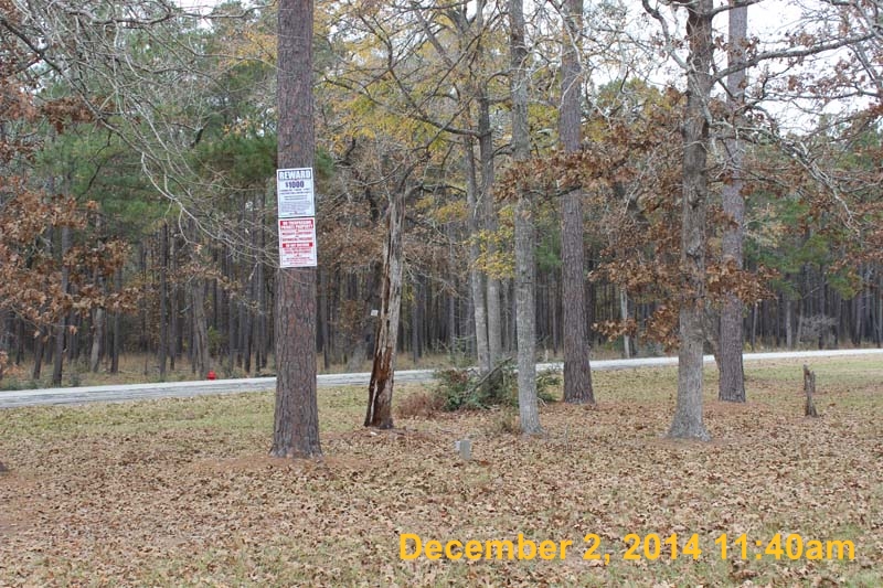 IMG_0188