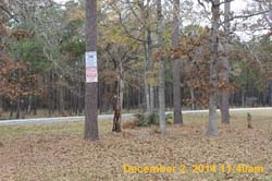 IMG_0188