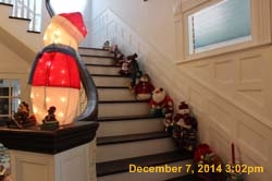 IMG_0302