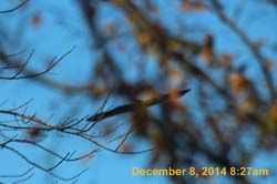 IMG_3013