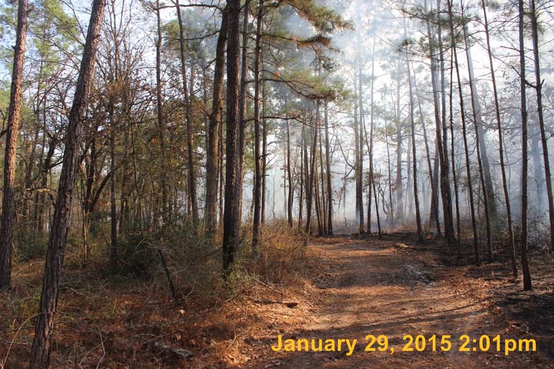 IMG_0484