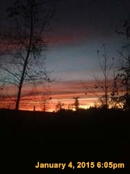 IMG_8202